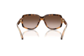 Bagside Ralph Lauren RL8238U (608913)