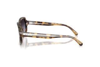 Sidevisning Ralph Lauren RL8238U (61788G)