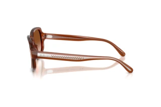 Sidevisning Ralph Lauren RL8238U (630613)