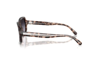 Sidevisning Ralph Lauren RL8238U (63078G)