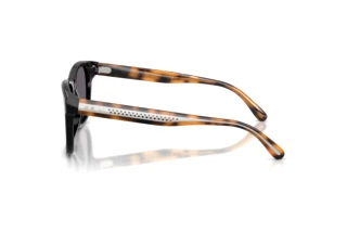 Sidevisning Ralph Lauren RL8239U (50011A)