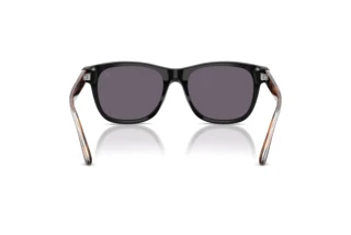 Bagside Ralph Lauren RL8239U (50011A)