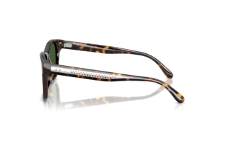 Sidevisning Ralph Lauren RL8239U (500371)