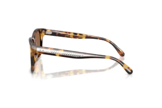 Sidevisning Ralph Lauren RL8239U (513473)
