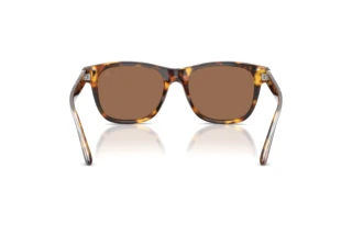 Bagside Ralph Lauren RL8239U (513473)