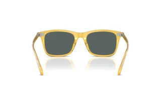 Bagside Ralph Lauren RL8242U (50053R)