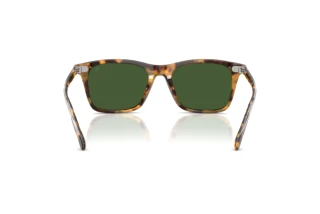 Bagside Ralph Lauren RL8242U (633971)