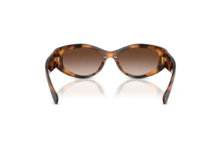Bagside Ralph Lauren RL8243U (608913)