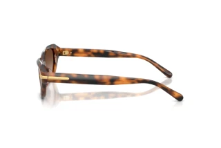 Sidevisning Ralph Lauren RL8244U (608913)