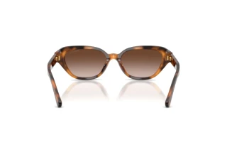 Bagside Ralph Lauren RL8244U (608913)