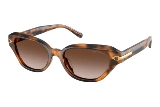 Forfra Ralph Lauren RL8244U (608913)