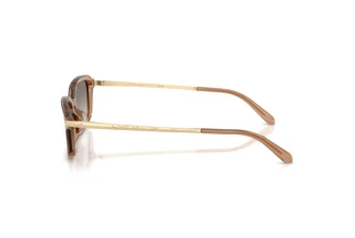 Sidevisning Ralph Lauren RL8245U (637708)