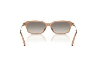 Bagside Ralph Lauren RL8245U (637708)