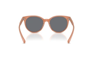 Bagside Ralph RA5331U (623787)