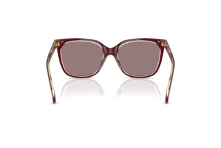 Bagside Ralph RA5343U (62997N)