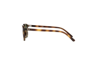 Sidevisning Ray-Ban Kids JUNIOR LEONARD (RJ9093S - 152/71)