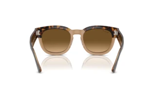 Bagside Ray-Ban MEGA HAWKEYE (RB0298S - 1292M2)