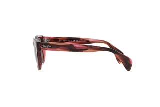 Sidevisning Ray-Ban RB0880S (6639AF)