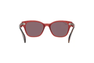 Bagside Ray-Ban RB0880S (6639AF)