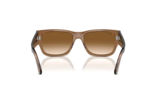 Bagside Ray-Ban CARLOS (RB0947S - 664051)