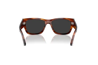 Bagside Ray-Ban CARLOS (RB0947S - 954/48)