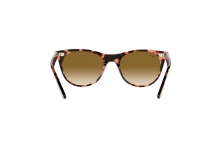 Bagside Ray-Ban WAYFARER II (RB2185 - 133451)