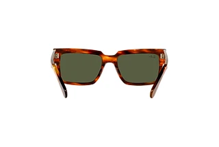 Bagside Ray-Ban INVERNESS (RB2191 - 954/31)
