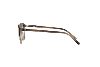 Sidevisning Ray-Ban LEONARD (RB2193 - 1327GF)