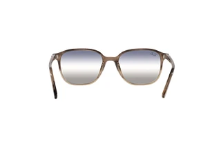 Bagside Ray-Ban LEONARD (RB2193 - 1327GF)