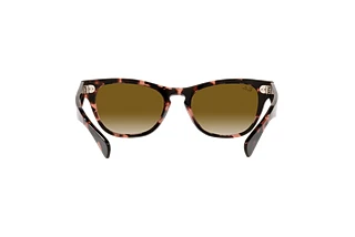 Bagside Ray-Ban LARAMIE (RB2201 - 133451)