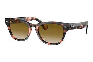 Forfra Ray-Ban LARAMIE (RB2201 - 133451)