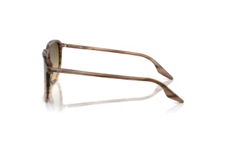 Sidevisning Ray-Ban RB2203 (13920A)