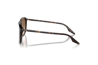 Sidevisning Ray-Ban RB2203 (902/51)