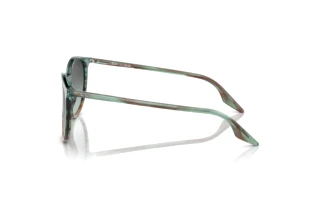 Sidevisning Ray-Ban RB2204 (1394GK)