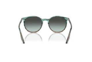 Bagside Ray-Ban RB2204 (1394GK)