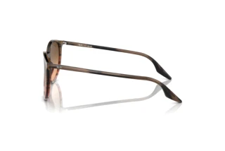 Sidevisning Ray-Ban RB2204 (13953B)