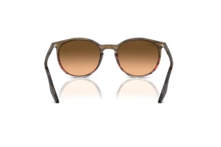 Bagside Ray-Ban RB2204 (13953B)