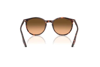Bagside Ray-Ban RB2204 (14293B)