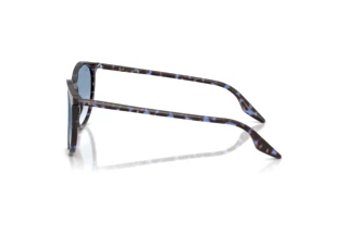 Sidevisning Ray-Ban RB2204 (14303F)