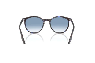 Bagside Ray-Ban RB2204 (14303F)
