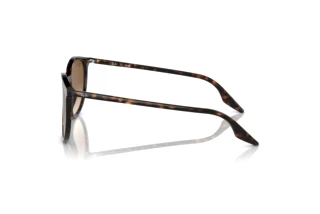 Sidevisning Ray-Ban RB2204 (902/51)