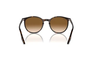 Bagside Ray-Ban RB2204 (902/51)