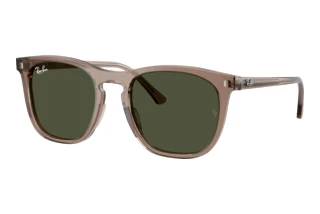 Forfra Ray-Ban RB2210 (845731)
