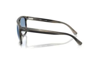 Sidevisning Ray-Ban RB2213 (14243F)
