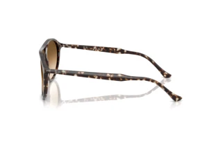 Sidevisning Ray-Ban RB2215 (143151)