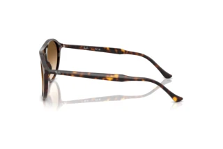 Sidevisning Ray-Ban RB2215 (902/51)