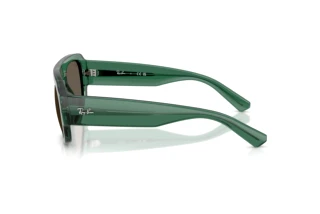 Sidevisning Ray-Ban RB2218 (6681/3)