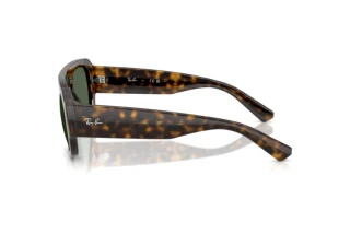 Sidevisning Ray-Ban RB2218 (679071)