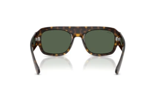 Bagside Ray-Ban RB2218 (679071)