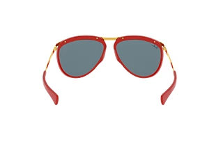 Bagside Ray-Ban OLYMPIAN AVIATOR (RB2219 - 1243R5)